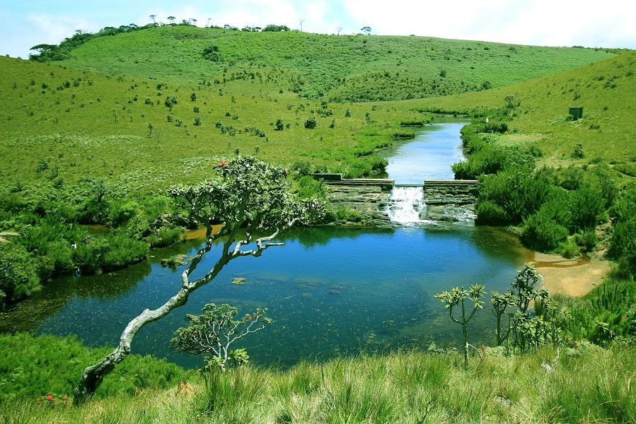 Horton Plains National Park Thumbnail 5